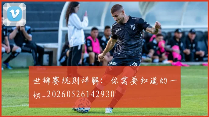 世锦赛规则详解：你需要知道的一切_20260526142930